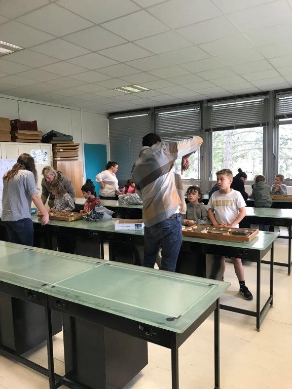 GEGENA (@comgegenaa) on Twitter photo Classe en fac à <a href="/universitereims/">Université de Reims Champagne-Ardenne</a> avec nos collègues du département de sciences de la terre et le Gegena! #classeenfac #geologie Classe en fac à <a href="/universitereims/">Université de Reims Champagne-Ardenne</a> avec nos collègues du département de sciences de la terre et le Gegena! #classeenfac #geologie