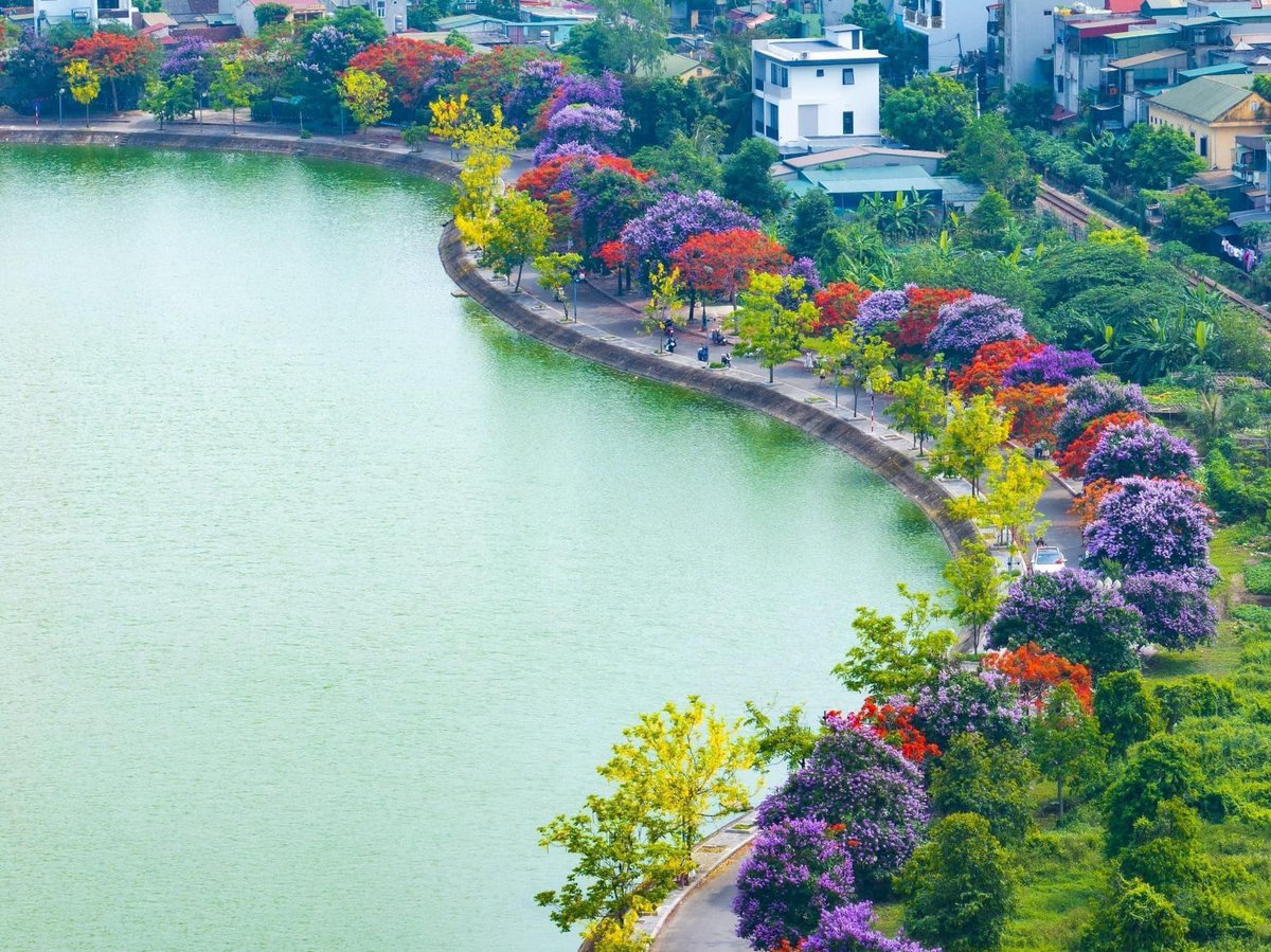 Momiji356's tweet photo. summer colors in Thanh Hoa
cr: Thanh Hoa 24h https://t.co/9fdiBSoJ6V