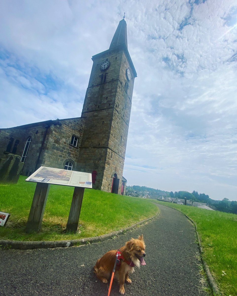 wanderingw_andy's tweet photo. The Fife Pilgrim Way | Leslie to Markinch
Watch here: https://t.co/kglwWhjYrO https://t.co/cscBGWy7wG