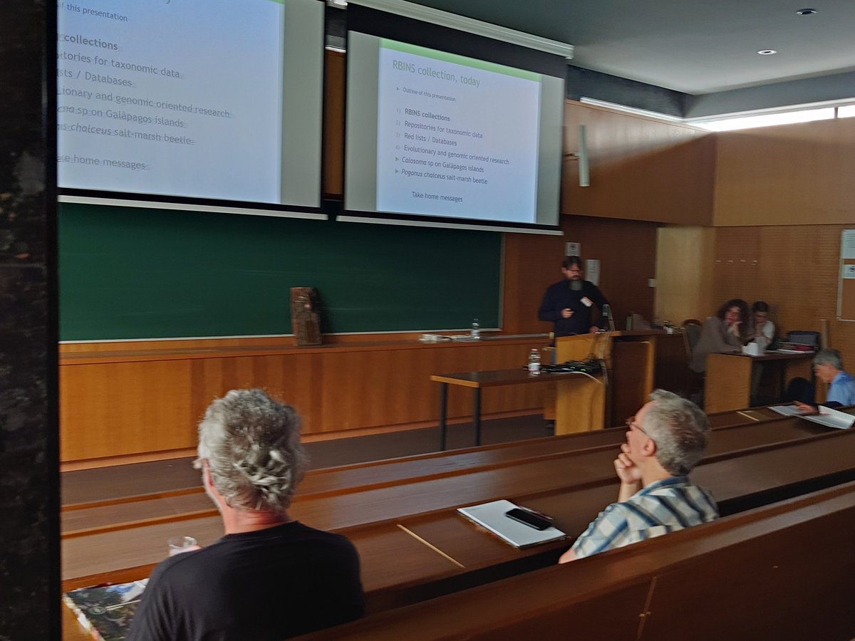 The first plenary presentation of the XXI European Carabidologists Meeting on the importance of natural history collections by <a href="/wouterdekoninc1/">Wouter Dekoninck</a> of the Royal Belgian Institute of Natural History at <a href="/21stECM/">21st European Carabidologists' Meeting</a>