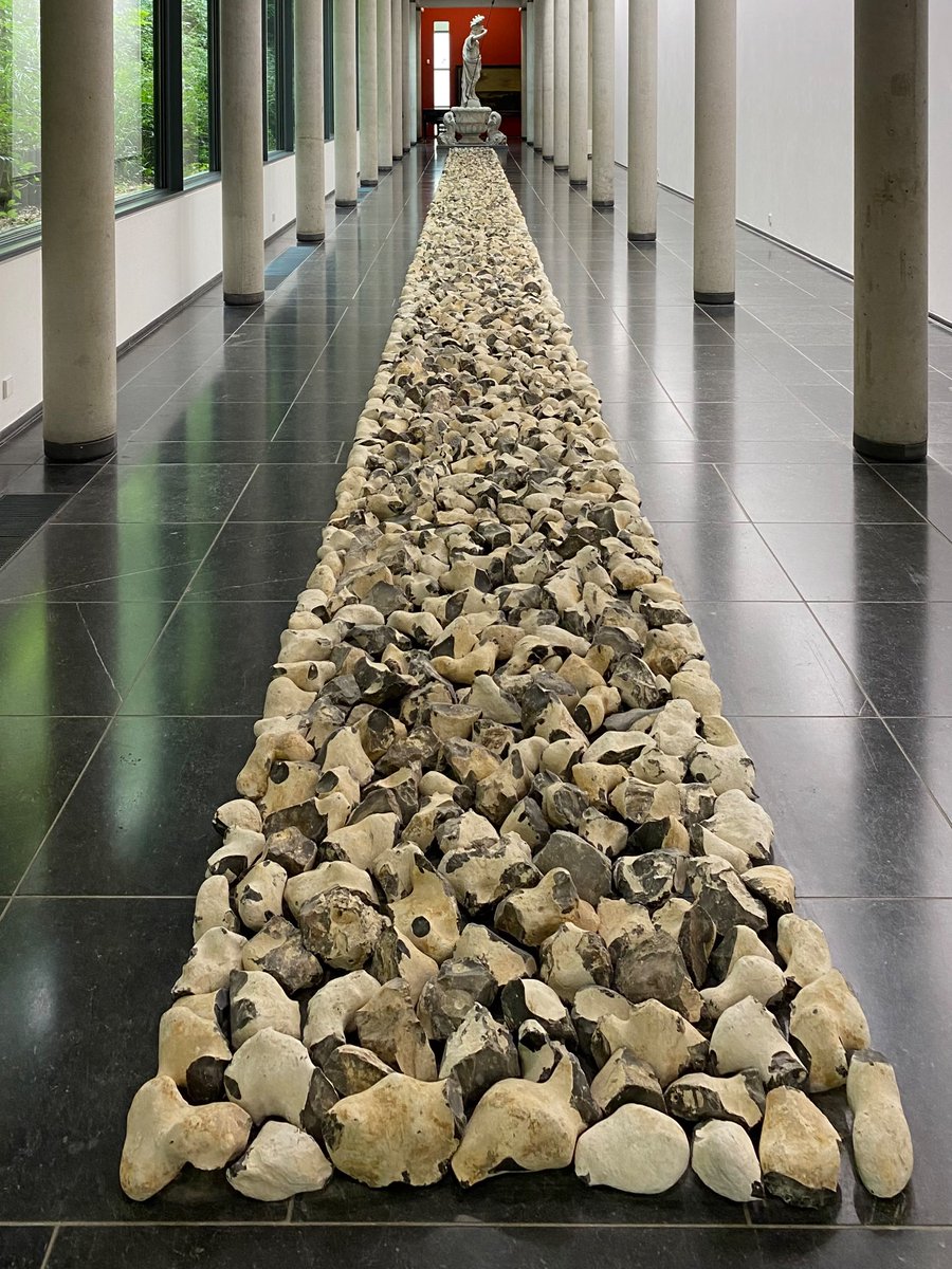 peter foolen tweet media