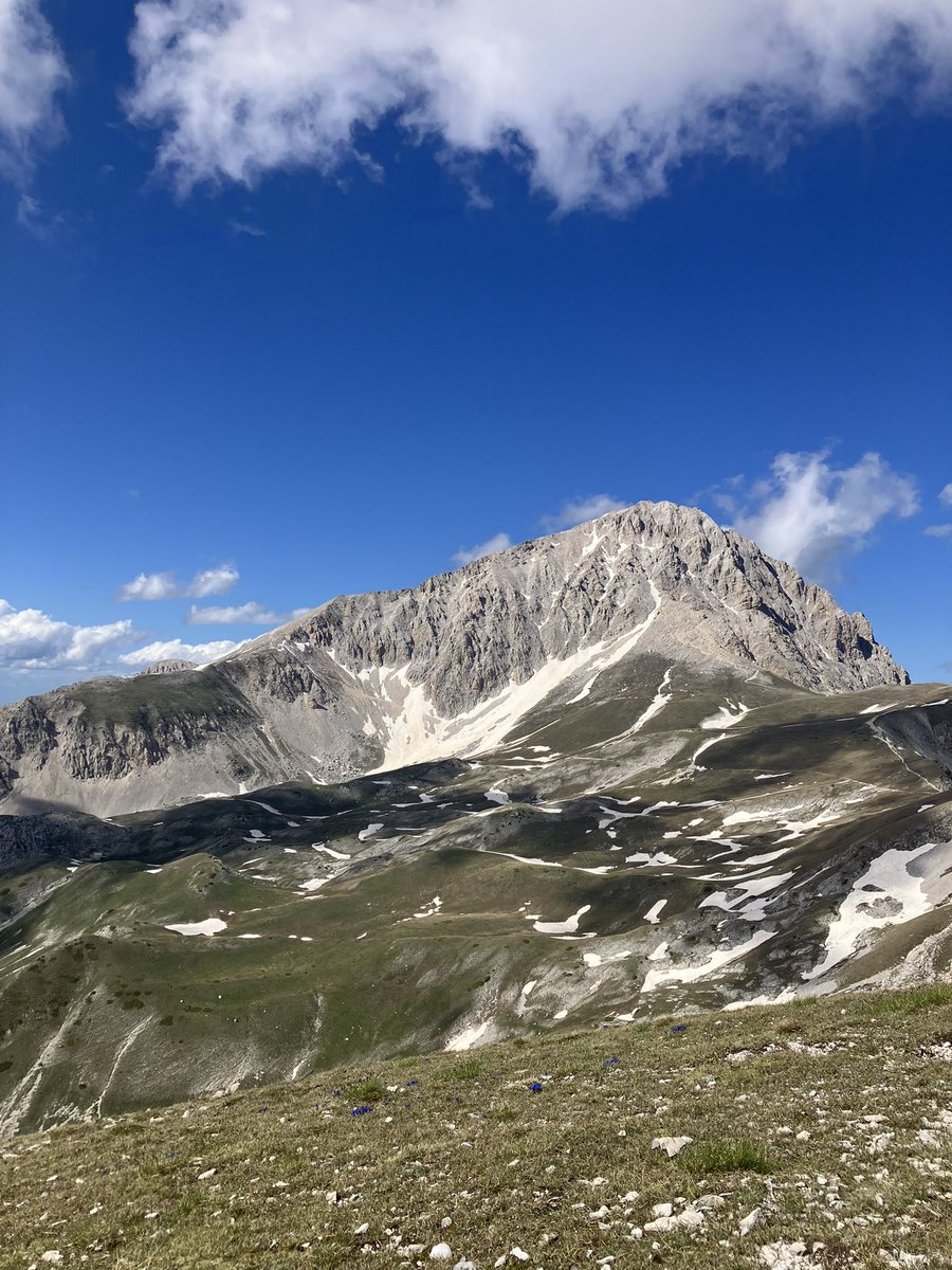 frerraro's tweet image. 🦅🦠👨💻 Had an amazing time at “Stochastic Models and Experiments in Ecology and Biology 2024”! Thankful to organisers for allowing experts from Theoretical Ecology and Microbiology to meet and exchange ideas. Check also our work in physics&ecology here: scholar.google.com/citations?user…