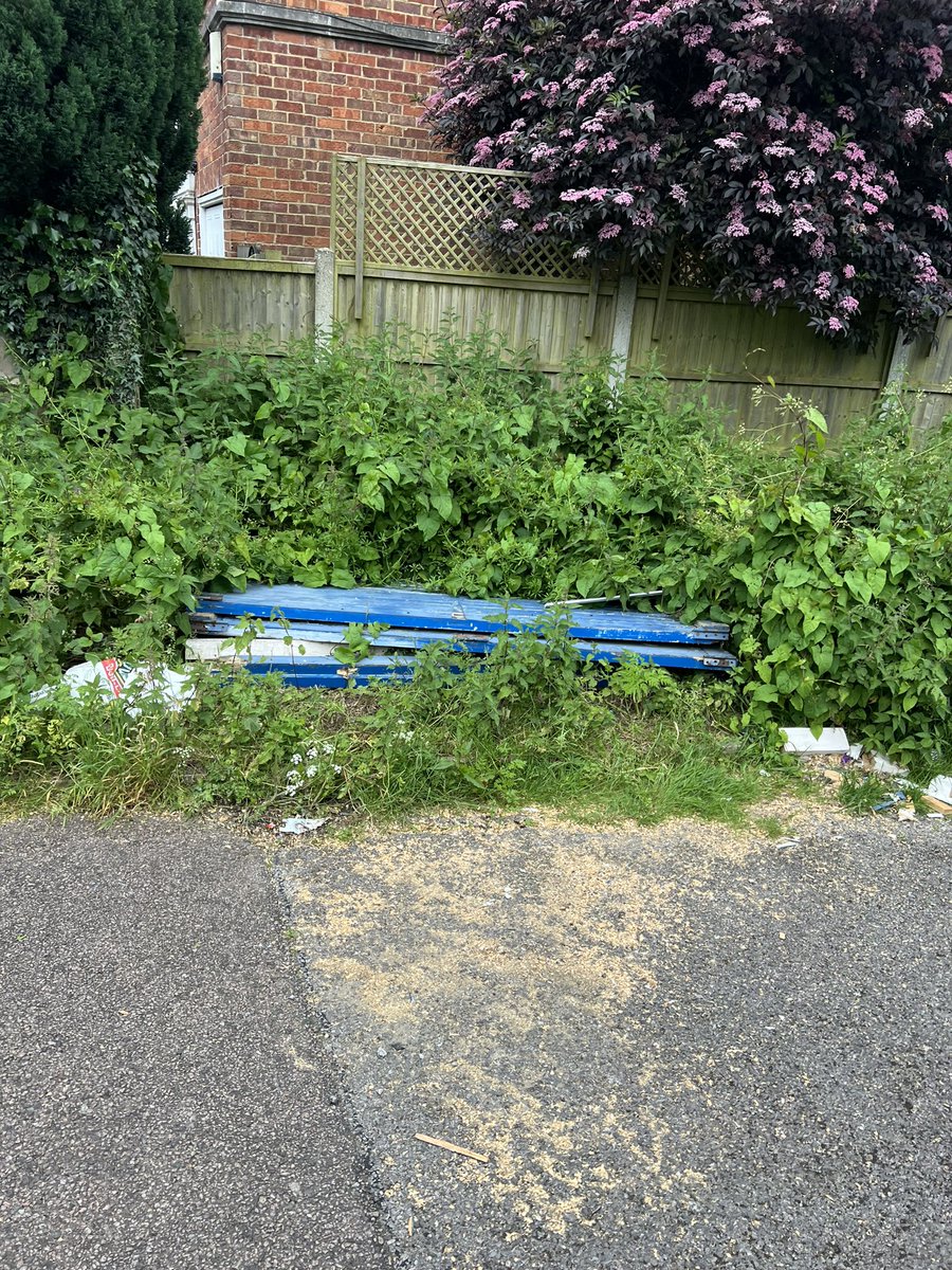 Epping Forest MTB tweet media