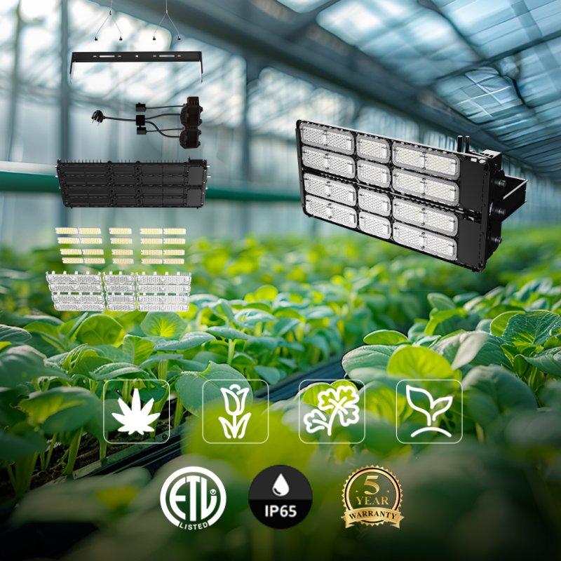 SansiLED's tweet photo. Sansi 100W Grow Light #growtent #homegrowing #indoorplanting #ledgrowlight #plantlighting #indoorplants #growlights #plantgrowth #hydroponics #botanicallighting #gardenspectrum #indoorfarming #growroom #fullspectrum #sunlightsimulation #planthealth #growwithled https://t.co/qDFa26n6Ci