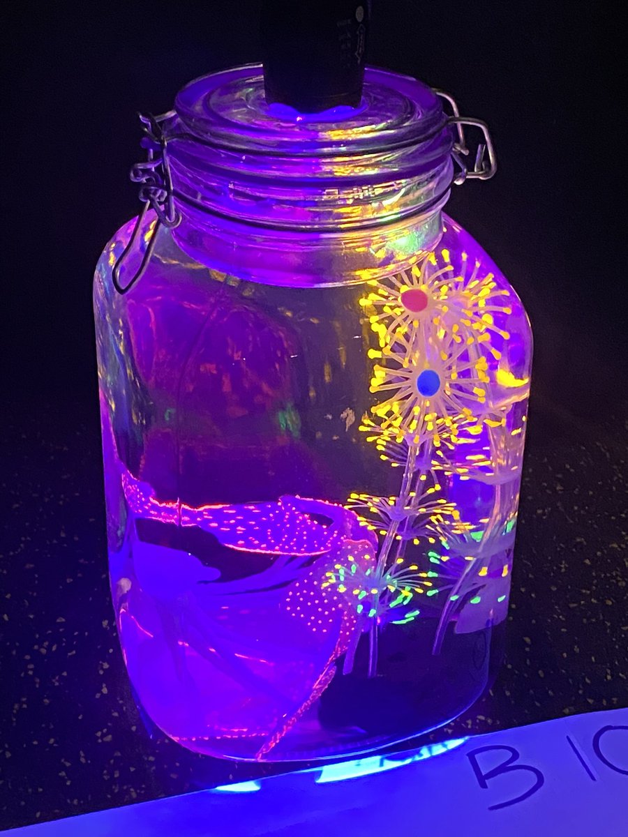 Year 3 | The Arbor School tweet media