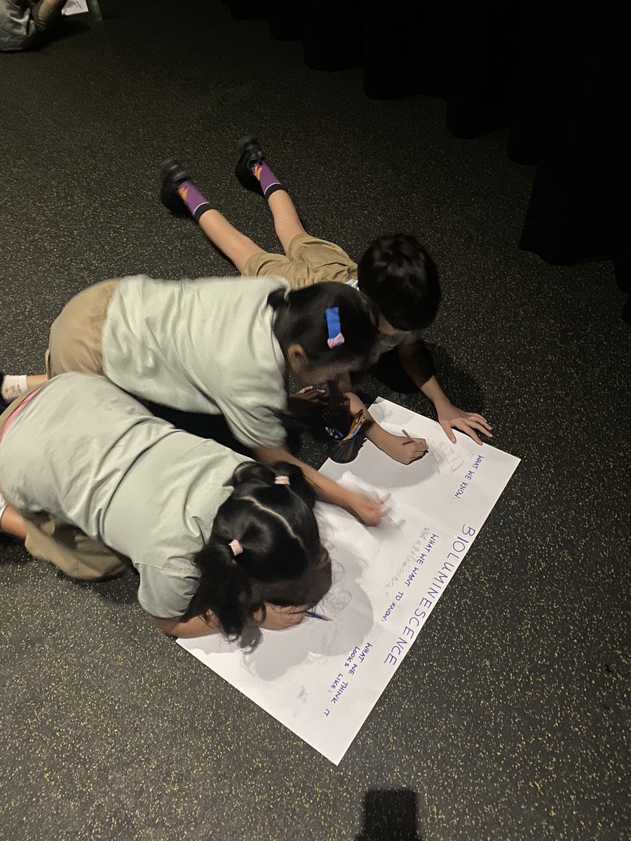 Year 3 | The Arbor School tweet media