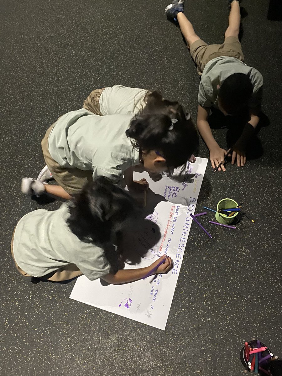 Year 3 | The Arbor School tweet media