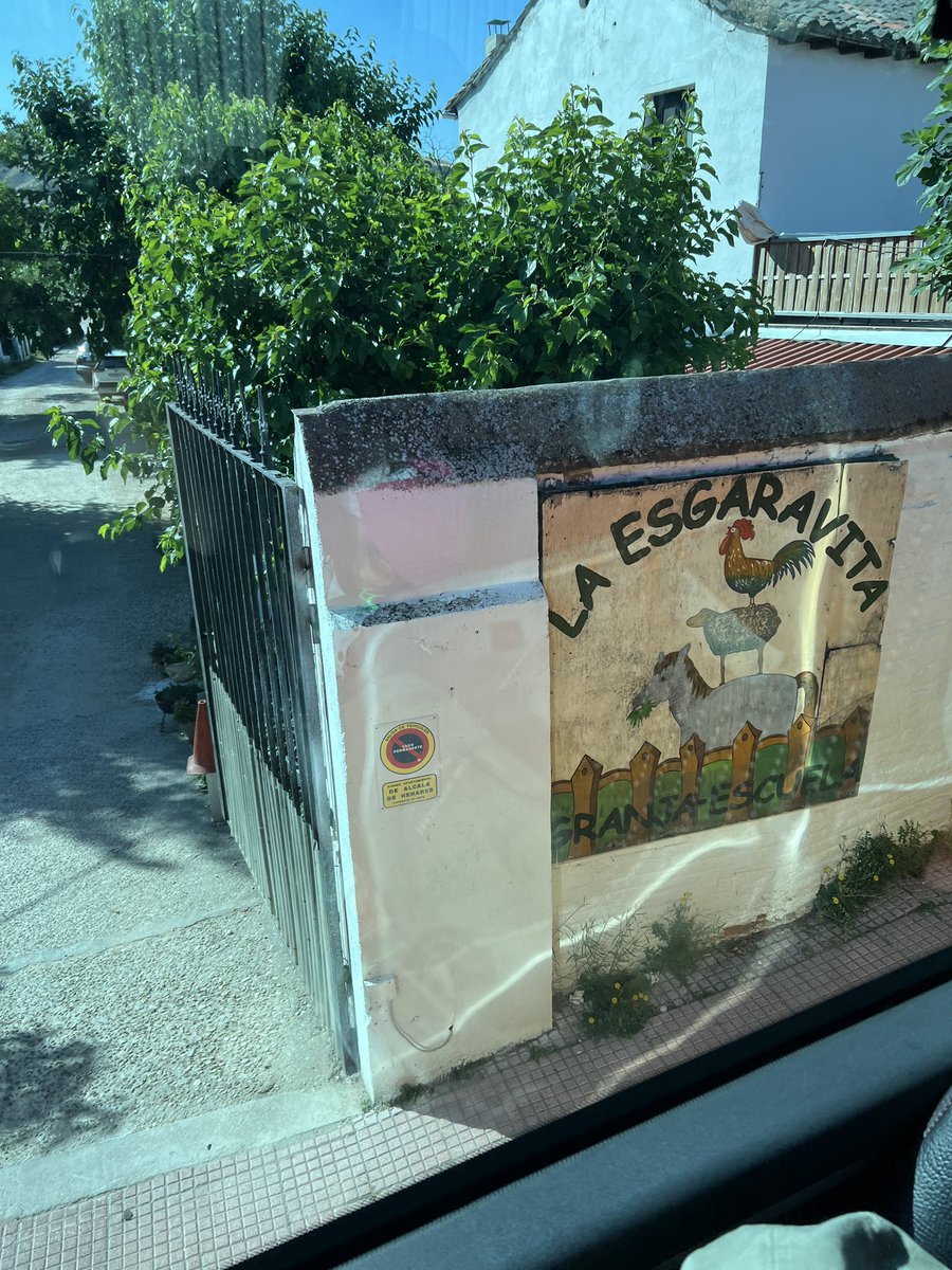 Profe Olga tweet media