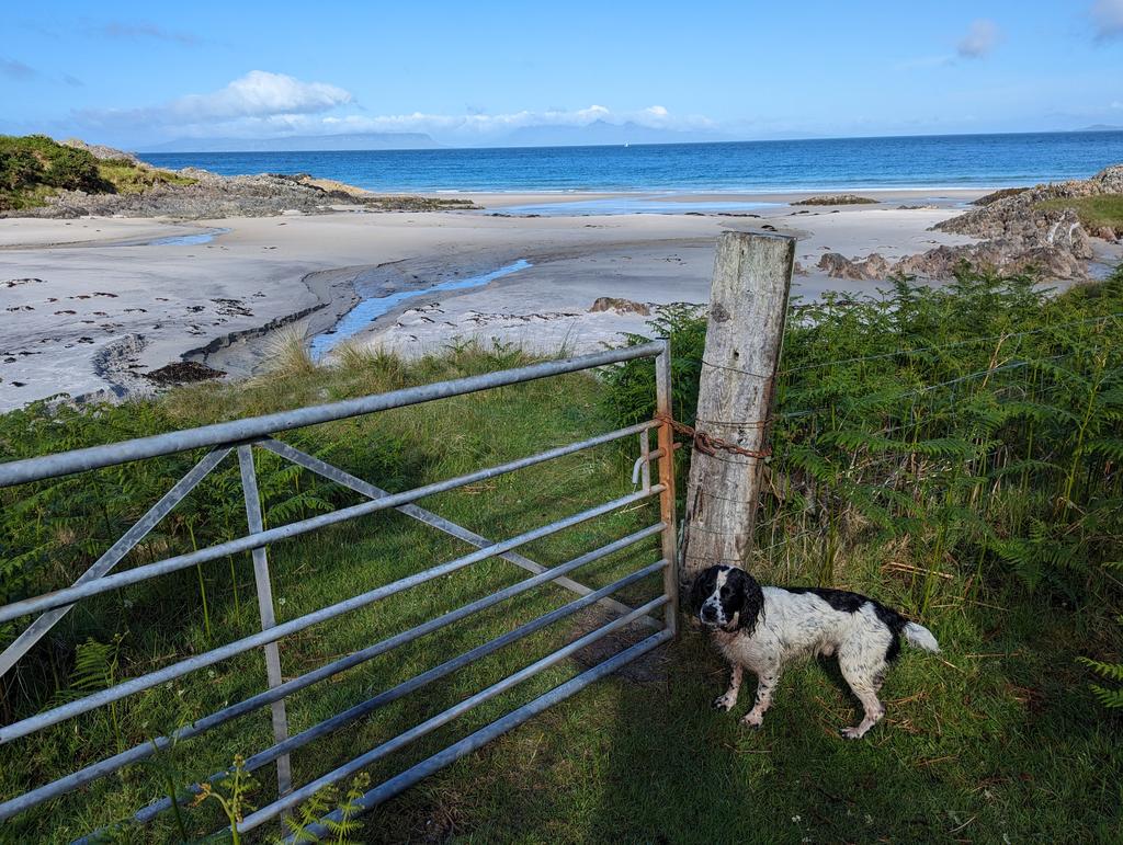 RecyclerBill's tweet photo. Not yet 9am but already awarded #GateOfTheDay.
We did have to swim & rockclimb to get here though on our circular DogJogππ€£π€£π€£
#BillsGates
#QuiteInterestingGatesAndLatchesOfTheUK https://t.co/hE2AXem6S2