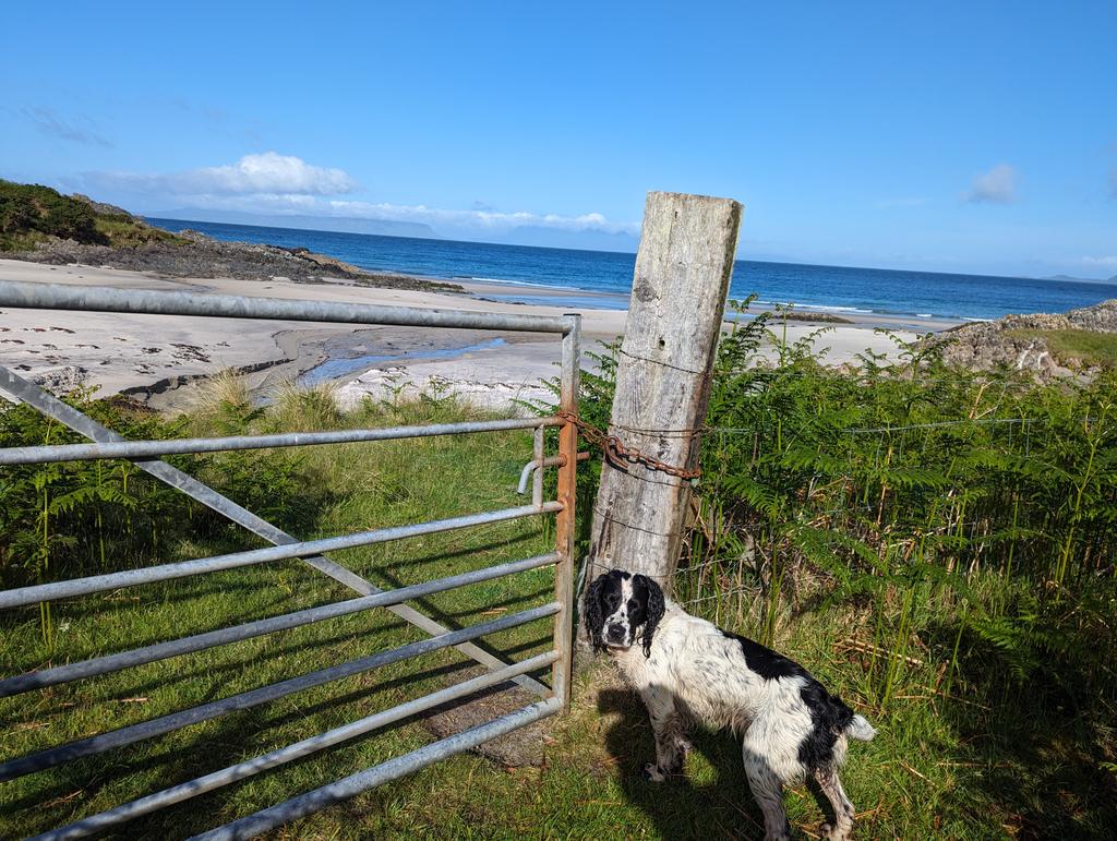 RecyclerBill's tweet photo. Not yet 9am but already awarded #GateOfTheDay.
We did have to swim & rockclimb to get here though on our circular DogJogππ€£π€£π€£
#BillsGates
#QuiteInterestingGatesAndLatchesOfTheUK https://t.co/hE2AXem6S2