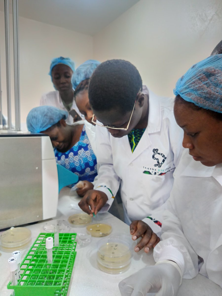 Arshnee Moodley (@arshneem) on Twitter photo Our amazing <a href="/linnetochieng/">Linnet Atieno</a> traveled to Benin to the University of Abomey-Calavi to conduct our 2nd on-site training on AST, designed to strengthen local AMR diagnostic expertise. Thank you Victorien Dougnon for hosting us. Supported by <a href="/ICARS_global/">Int. Centre for Antimicrobial Resistance Solutions</a> <a href="/OnurKARATUNA/">Onur KARATUNA</a> <a href="/ILRI/">ILRI.org</a> <a href="/amrhub/">CGIAR_AMRhub</a> Our amazing <a href="/linnetochieng/">Linnet Atieno</a> traveled to Benin to the University of Abomey-Calavi to conduct our 2nd on-site training on AST, designed to strengthen local AMR diagnostic expertise. Thank you Victorien Dougnon for hosting us. Supported by <a href="/ICARS_global/">Int. Centre for Antimicrobial Resistance Solutions</a> <a href="/OnurKARATUNA/">Onur KARATUNA</a> <a href="/ILRI/">ILRI.org</a> <a href="/amrhub/">CGIAR_AMRhub</a>