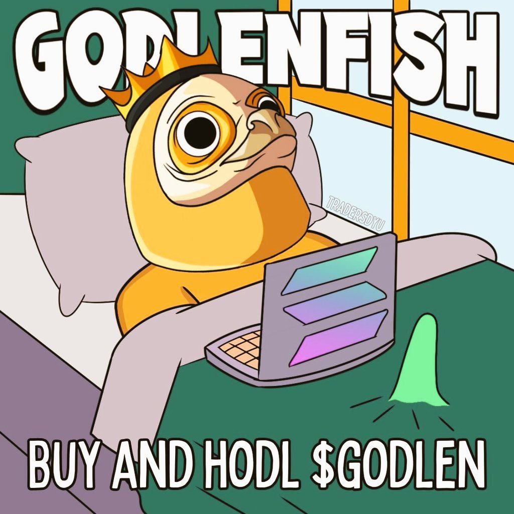 $GODLEN FISH tweet media