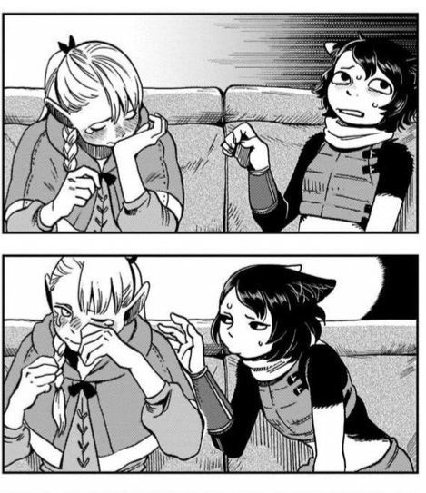キュートすぎ この猫 