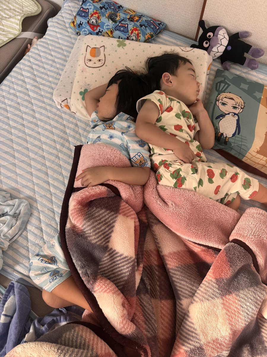 Sora0602R's tweet photo. ぶつかると寝ながらも喧嘩するから離すのに
気づいたらくっついて寝てる５歳の姉と２歳の弟
寝ながら喧嘩て
#なんしょっと
て思うけど結局仲良しなのかな😂 https://t.co/HWUpvpBxqI