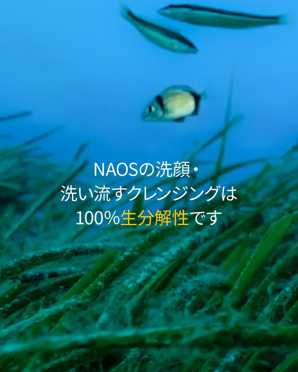 bioderma_japan's tweet image. 水はすべての生物にとって基本的な資源であり、私たちが提供する製品のベースでもあります。
そのため、海水、淡水の生態系への配慮を重要視しています。
#NAOS では、環境に触れる可能性のあるすべての製品（「洗い流す」衛生用品とサンケア製品）について、環境への影響について分析しています。