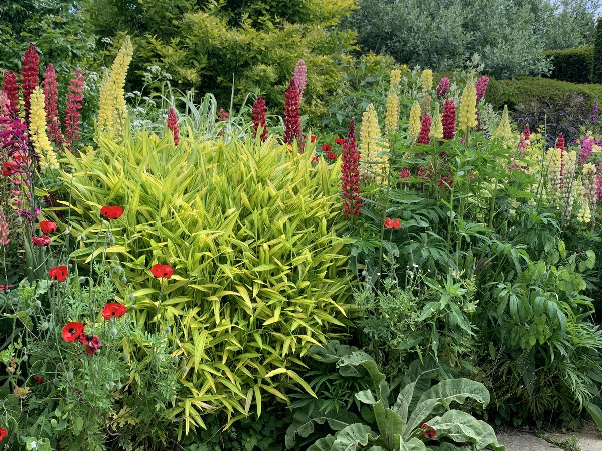 Great Dixter yesterday. For me, the ladybird poppies were the ultimate stars.