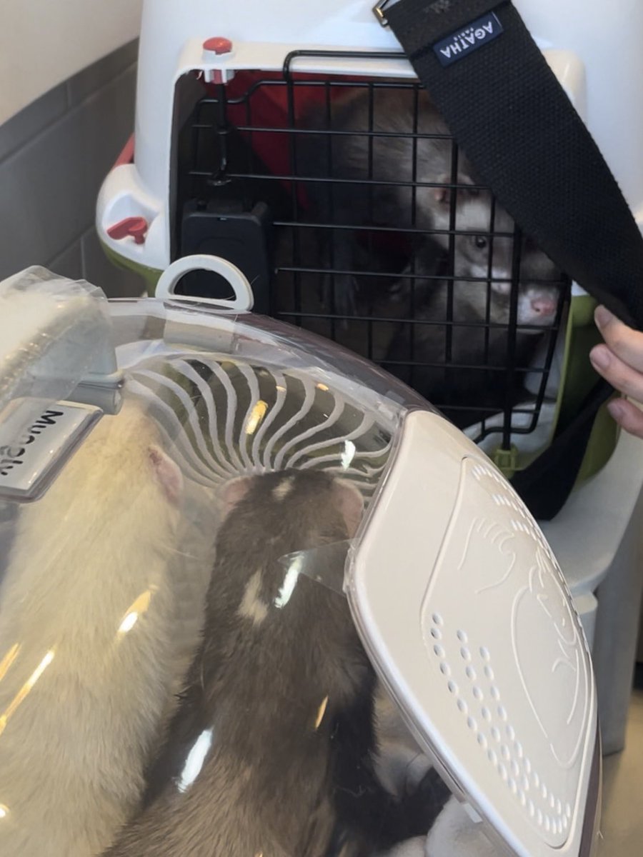 팥찐빵 찌는 중 👩🏻‍🍳💭 tweet media