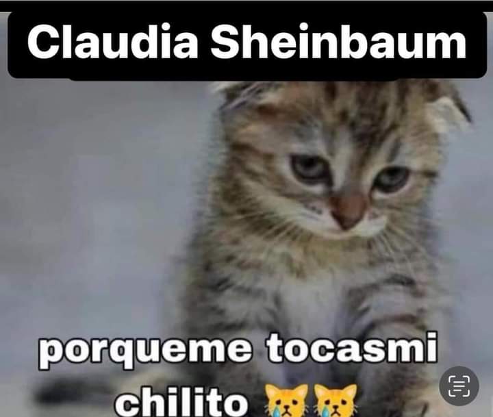 off_Roret's tweet photo. @El_Hombre_Koala https://t.co/QFwT1xDfE1