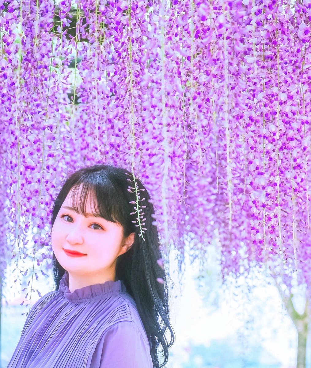 rococo03703103's tweet photo. wisteria curtains

#portrait #ポートレート
#photography #写真
#photograph
#selfportrait #セルフポートレート
#selfie #セルフィー
#藤　#藤棚　#wisteria #glycine https://t.co/8gTf2ZvWS4