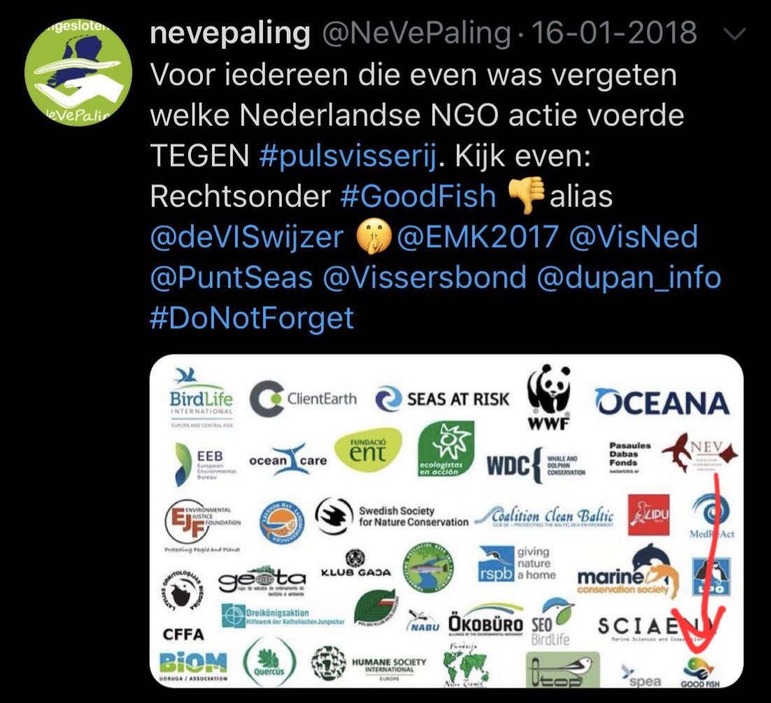 EMKvissers's tweet photo. #Reminder | Laten we niet vergeten welke Nederlandse ngo actie voerde tegen #pulsvisserij. Dat was #goodfish. Op EU niveau o.a. de buitenlandse lobby van @Bloom_FR & @World_Wildlife https://t.co/CPW9mkEHcT