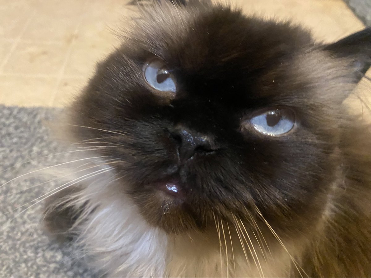 mine frens , pease rember im lovey all of your <3 im lovey your ok