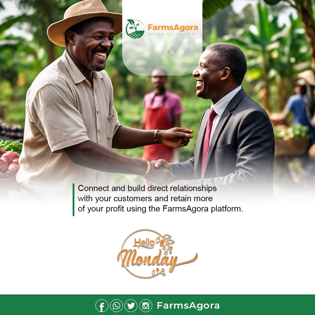 FarmsAgora's tweet photo. Maximize Your Profits with FarmsAgora! 🌾💼
Connect directly with your customers and build lasting relationships using the FarmsAgora platform.
#FarmsAgora #DirectSales #AgricultureInnovation #MondayMotivation #market #marketplace #storagefacilities #startup #information #farm https://t.co/PhXTDgM7w2