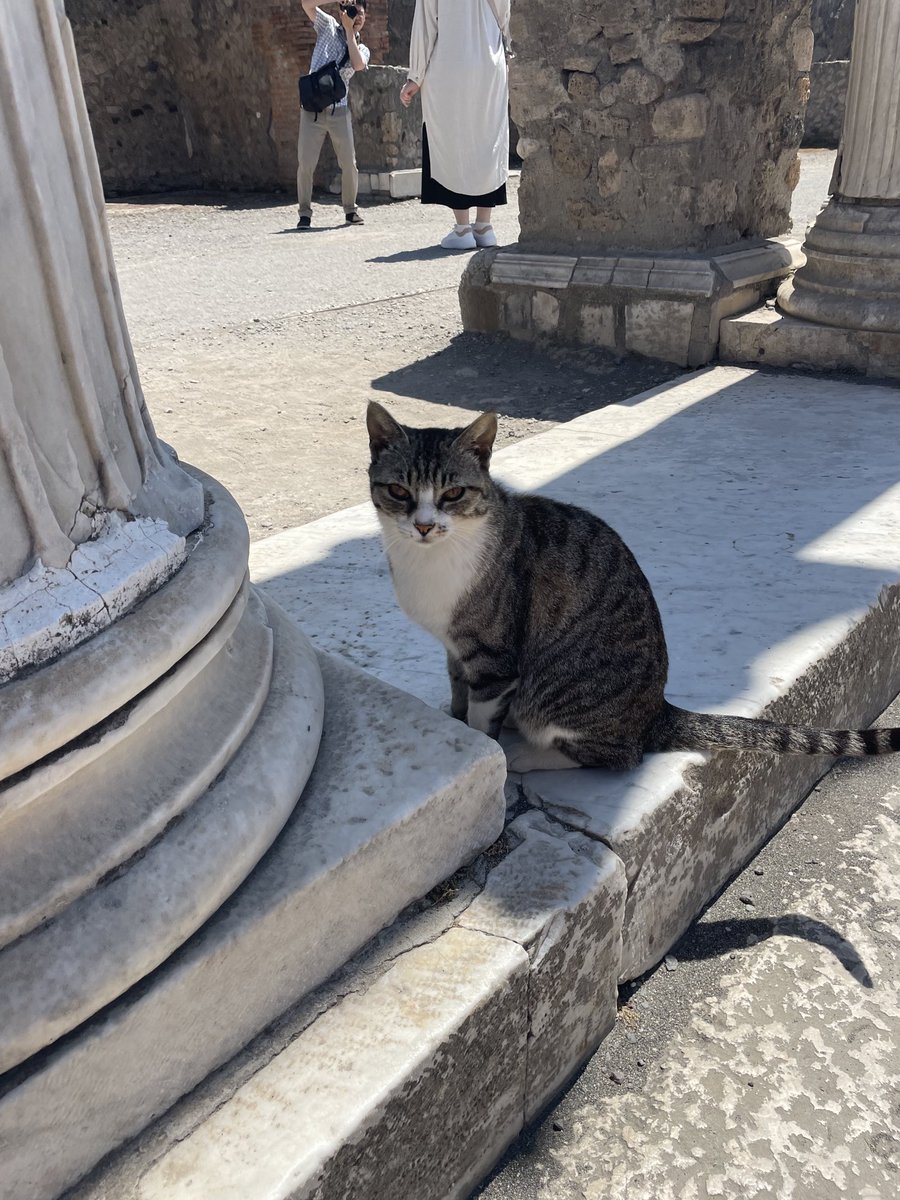 Marina Kogan tweet media