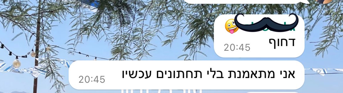 bender_rona's tweet photo. @MeshulamOri נחש מי שלח לי את הדגל האדום הבא: https://t.co/NcY6UcL4bB