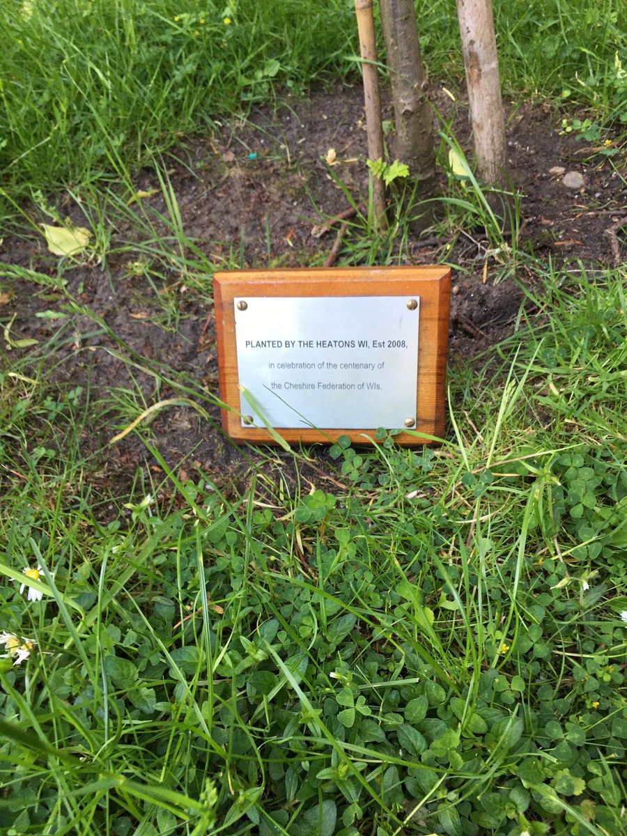 Our centenary tree in St. Paul's Church garden all spruced up with new bees and a refurbished sign.