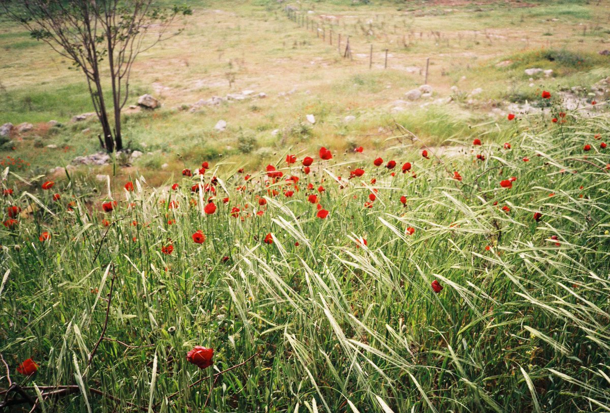 gm fam! ☕️

🎞