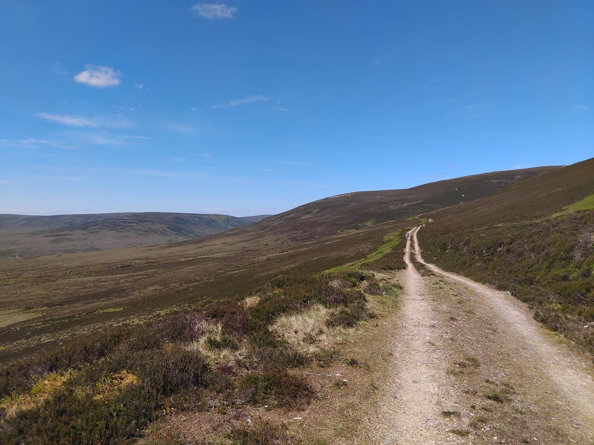 Ty Solomon tweet media