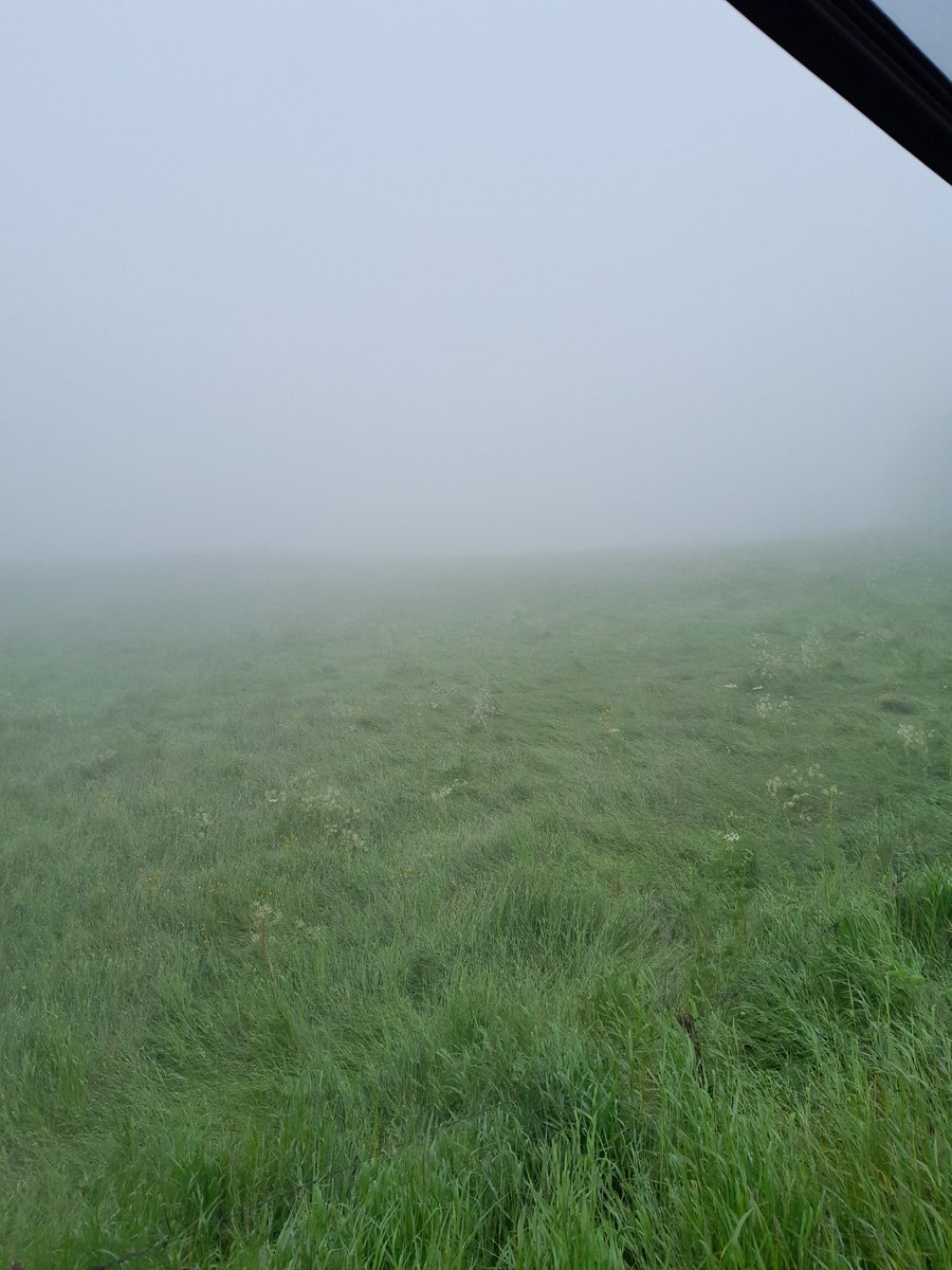 pat_2079's tweet photo. Update :30m
🎙🎶🎶🎶"Quand t'es dans le brouillard depuis trop longtemps ..."🎶🎶🎶
#tempsdemerde https://t.co/lw9GOfyYbm