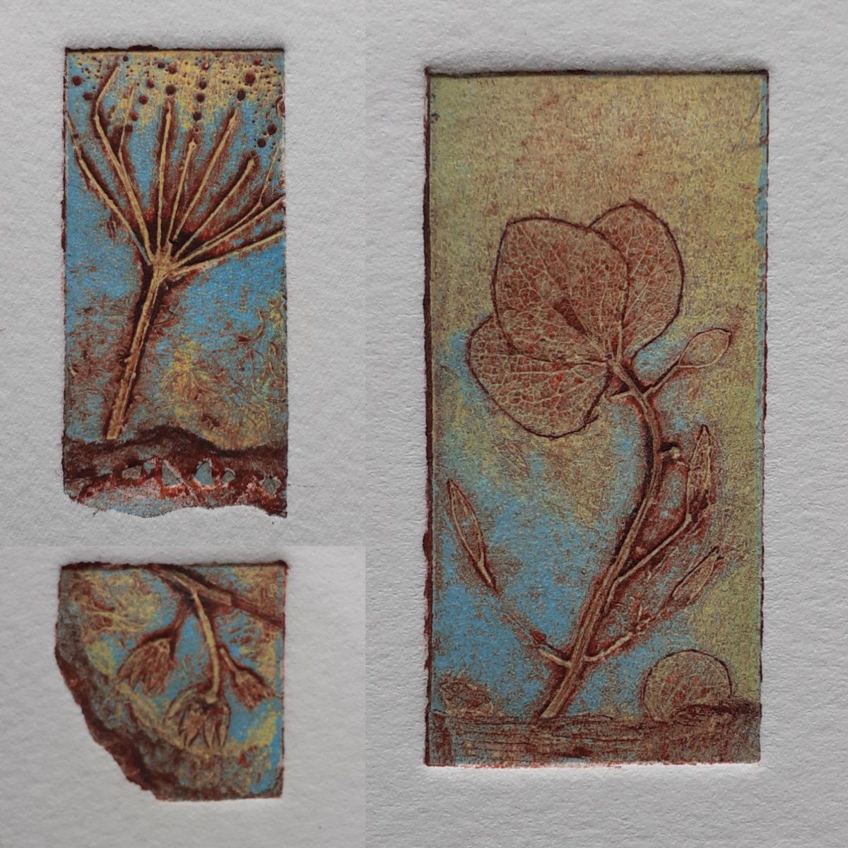 Sally Clarke tweet media