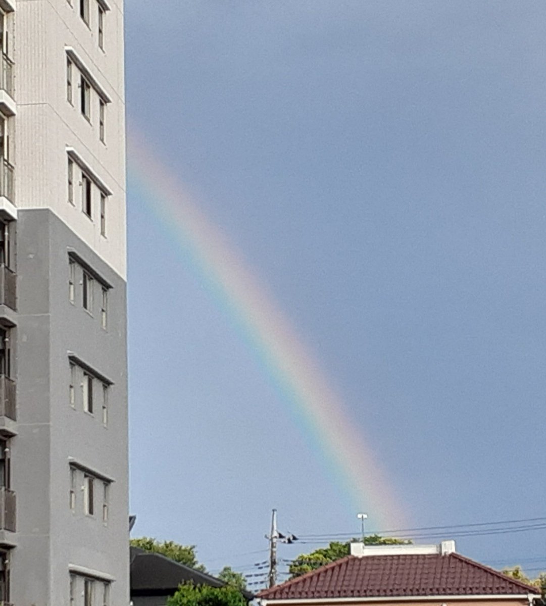 母の施設の帰り道
めっちゃ濃い虹🌈！！！

(スマホだと上手く撮れないなぁ)