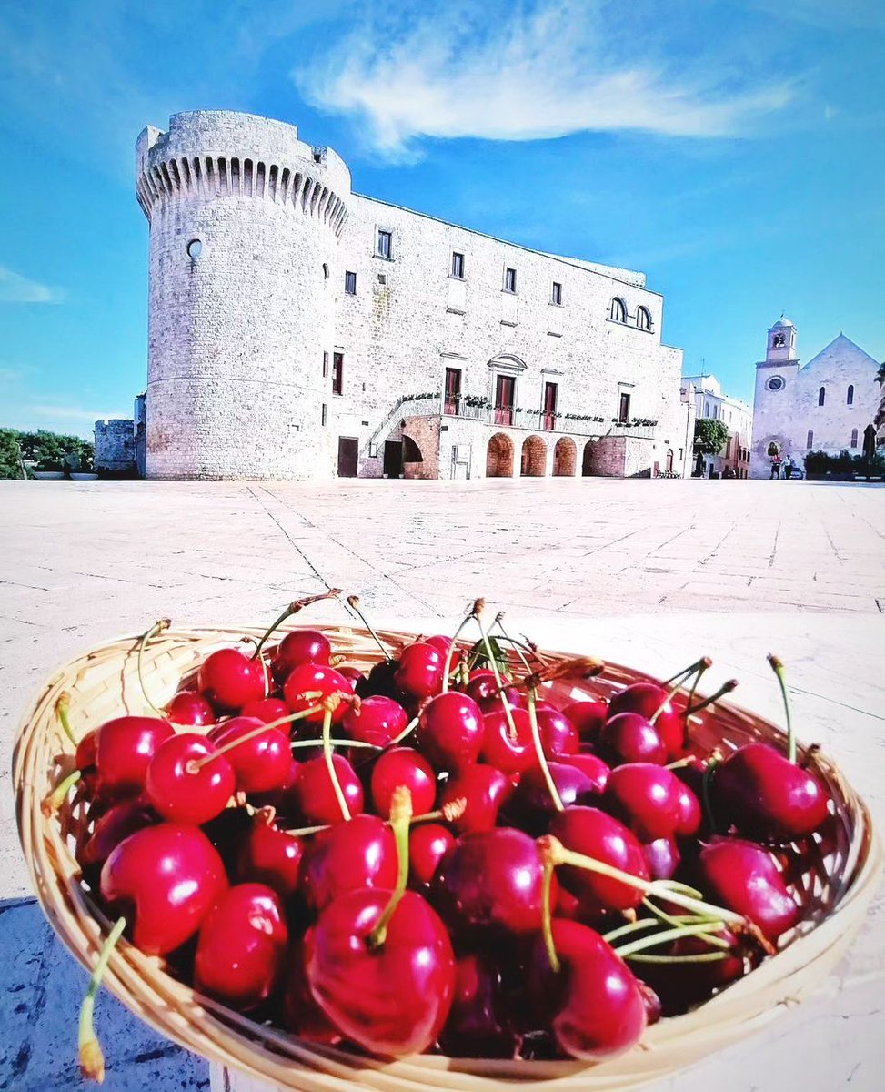 Delicious and typically double the size of regular cherries, the unique, deep vermilion-colored Ferrovia Cherries from Turi and Conversano are one of Puglia’s dainties.

#WeAreinPuglia #VieniamangiareinPuglia #PugliaForFoodies

📸 @tom.travel_blog