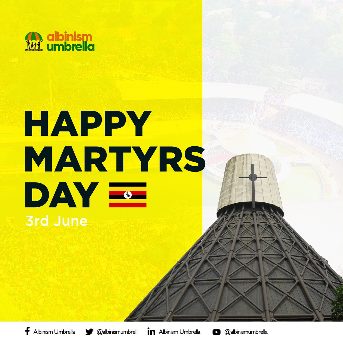 Albinism Umbrella tweet media