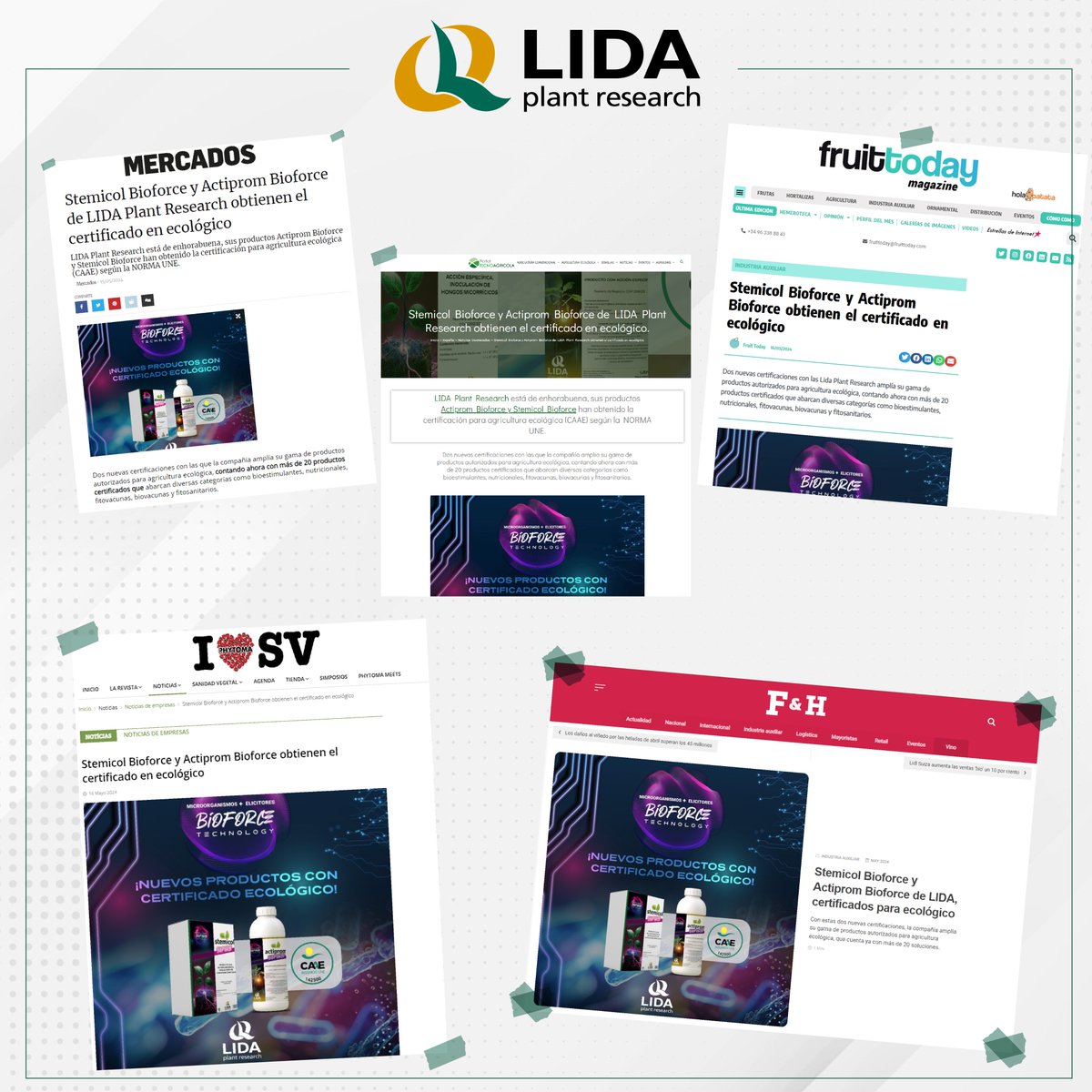 LidaPlant's tweet photo. 📣Los medios de comunicación del sector se hacen eco de las dos nuevas certificaciones para agricultura ecológica de Actiprom Bioforce y Stemicol Bioforce 🌱
#BIOFORCETechnology #LIDA #CAAE #AgriculturaSostenible https://t.co/IssFL481pq