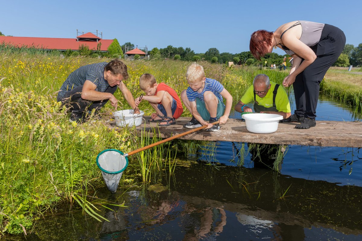 Ontdek de geheime wereld van waterdiertjes tijdens de <a href="/IVNNederland/">IVN Natuureducatie</a>  Slootjesdagen!

Op 8 plekken in de <a href="/ProvincieNH/">Noord-Holland</a> kun je meedoen met een Slootjesdag. Ben je erbij?

ivn.nl/provincies/noo…
