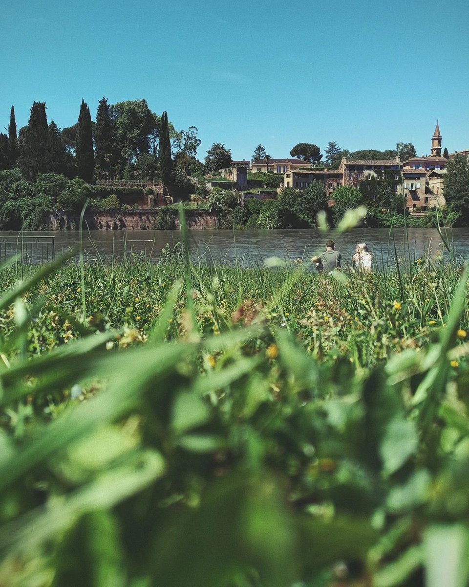 ville_albi's tweet photo. #AlbiEnPhotos La Ville d'Albi vous souhaite une agréable semaine avec cette sélection de photos printanières.
📸 Merci à e.l.o.d.i.e.8.1, photo_minjae, miss.tarnaise.81 et mellebonplan pour ces photos ! N'hésitez pas à partager vos clichés via #Albi et #partageonsalbi. https://t.co/YpNGGTaOui