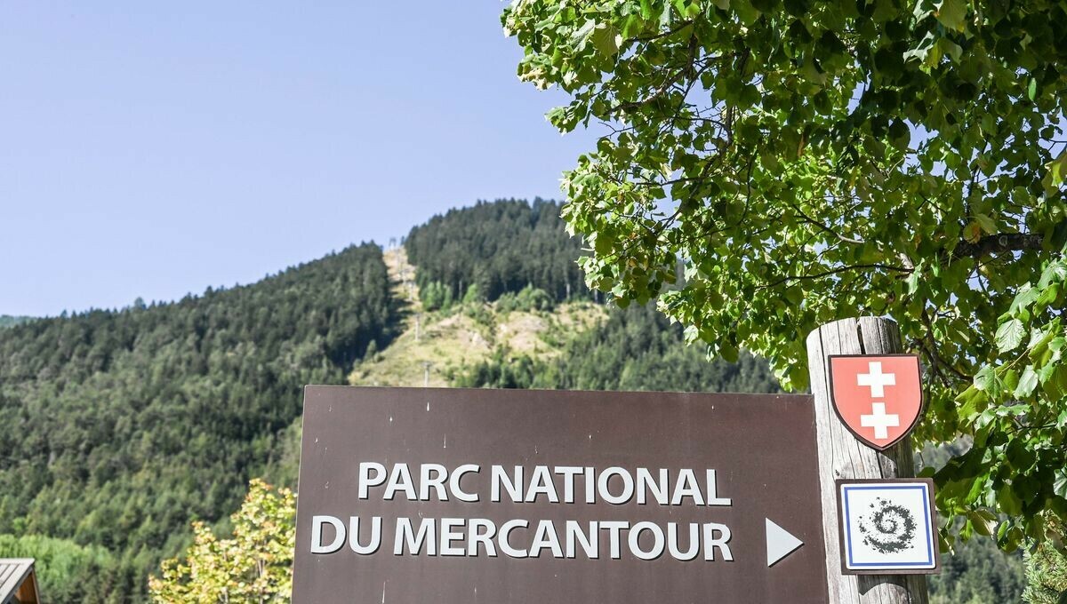 🎙️ Le Parc national du #Mercantour se prépare à vivre un été inédit en terme de fréquentation Sa directrice Aline Comeau ne redoute pas encore de 'surtourime' mais rappelle les règles à respecter ➡️ l.francebleu.fr/L875