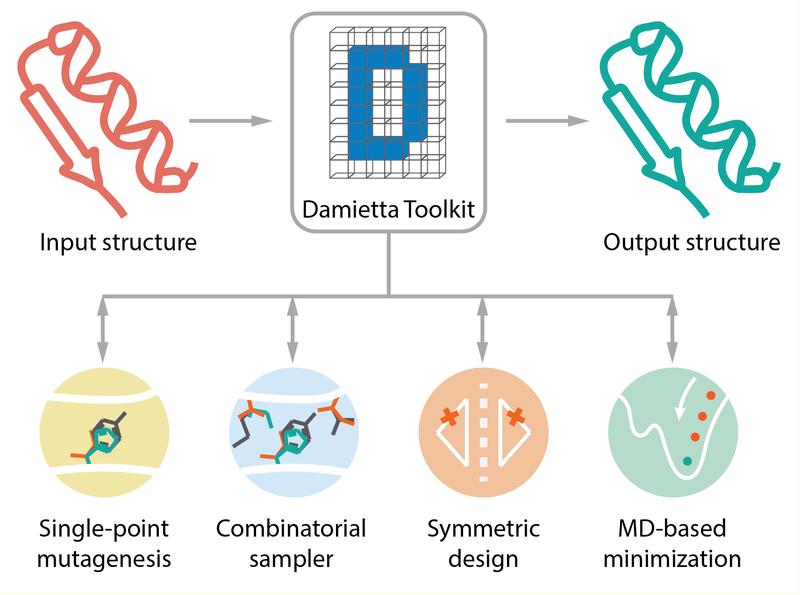 idw_online_de's tweet image. Durchbruch in der Proteinforschung! @MPI_Bio Forscher verbessern #Proteindesign Damietta: schneller, einfacher & zugänglicher. Neue Therapien & Technologien möglich! #Biotech #Bioinformatik twtr.to/71nRp #MaxPlanck @k_maksymenko @m_elgamacy
nachrichten.idw-online.de/2024/06/03/too…
