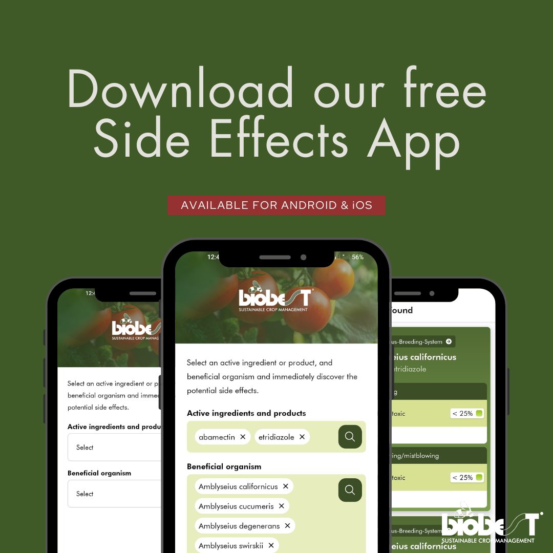 📱 Before using a pest control product, double-check the potential side effects it will have on bumblebees and other beneficial organisms. Check out the updated and free Biobest Side Effects app for answers!

For iOS bit.ly/side-effects-a… and Android bit.ly/side-effects-a….