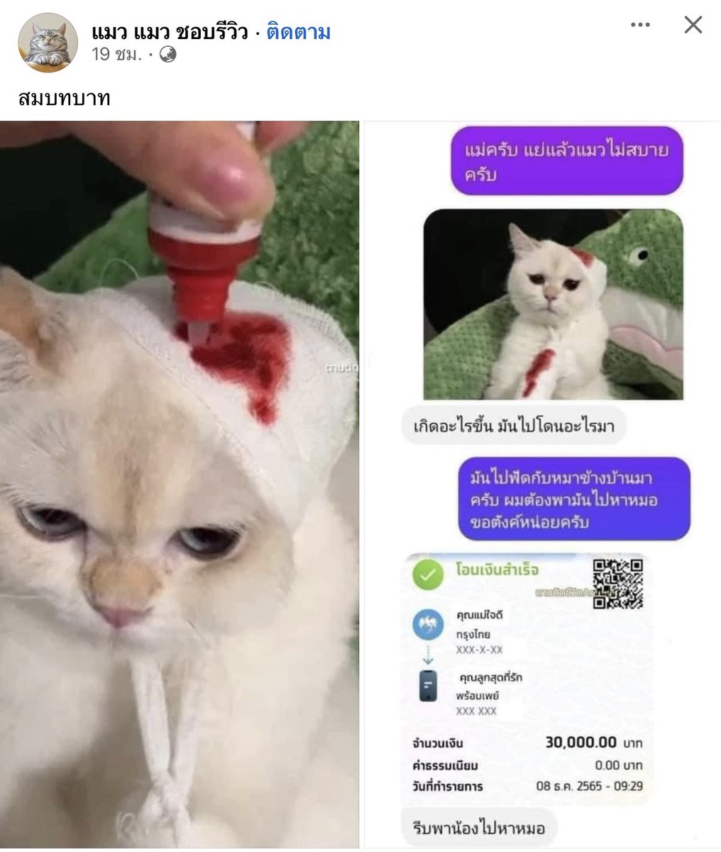 ใครสักคนกล่าวไว้ tweet media