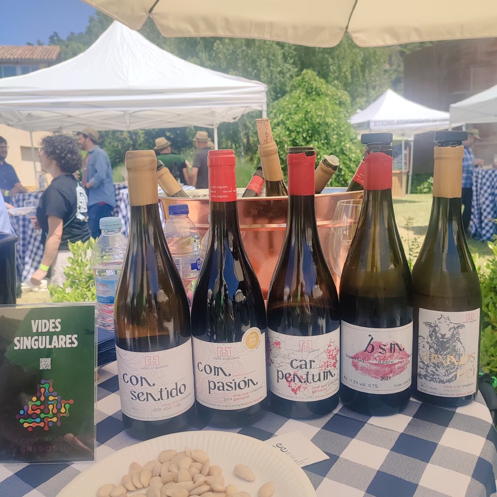 vinosdebolsillo's tweet photo. #ConectandoGredos @VinosdeCebreros #Altohorizonte #Bernabeleva @videssingulares
Catando un paisaje de granito, con algo de pizarra en ocasiones, viñedo de altura que hacen los vinos frescos, con acidez, predominante la fruta. Fantásticos. ⛰️🍇🍷 https://t.co/Fu3fN9tpAu