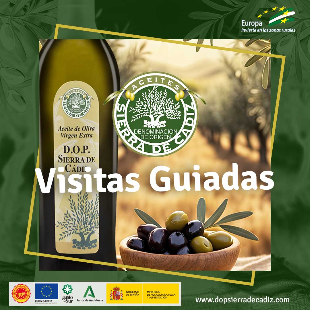 Prepara tus vacaciones de verano con una experiencia única! Visita nuestros olivares y almazaras para conocer de cerca el proceso de elaboración de nuestro Aceite de Oliva Virgen Extra. 

 ▶️ dopsierradecadiz.com ◀️  

#VisitasGuiadas #AOVE #DOPSierraDeCadiz #TurismoRural