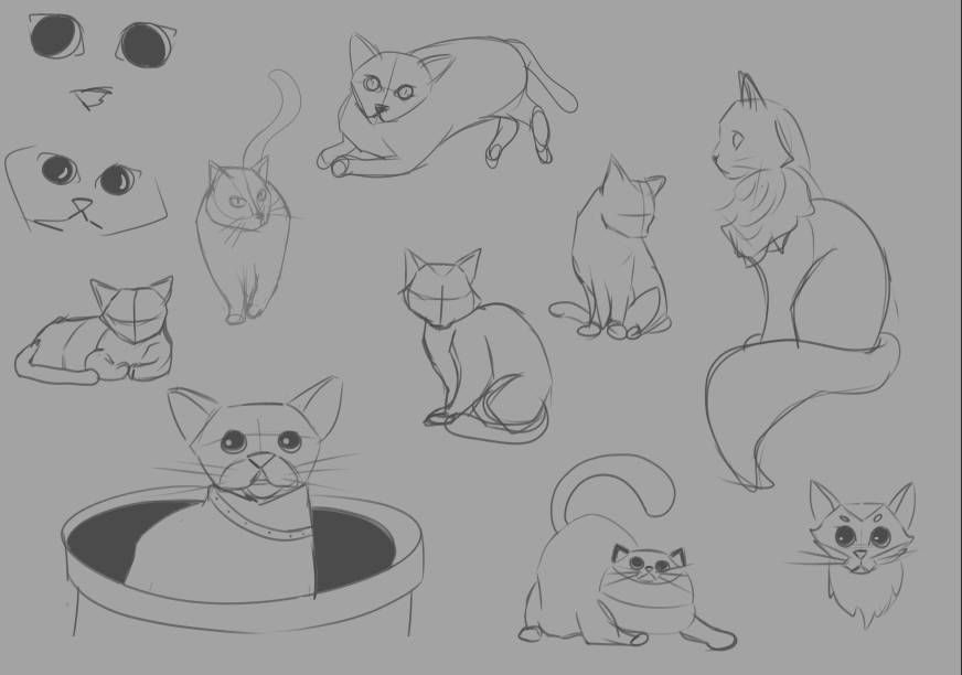 JenOfFear's tweet photo. Ein paar Katzenübungen :3 https://t.co/xaaQuvePbV