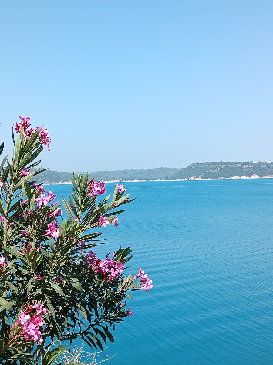 pnar_can's tweet photo. #ADANA 37° https://t.co/JIogzrxI3D