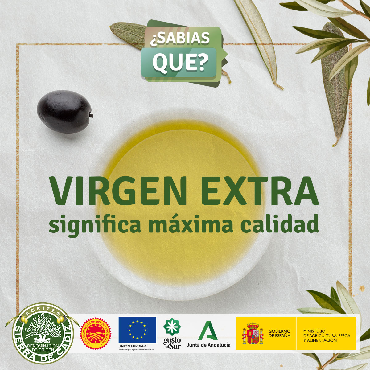 ¿Sabías qué? 🌿 El término "virgen extra" en el aceite de oliva indica la más alta calidad. El Aceite de Oliva Virgen Extra (AOVE) tiene una acidez máxima de 0.8%, lo que significa que es el más puro y con menos procesos de todos los aceites de oliva.