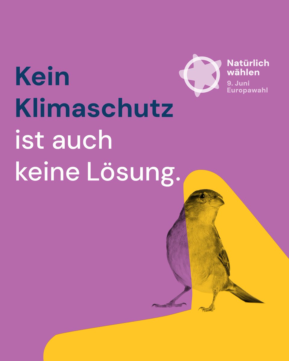 Kleiner Reminder: Am 9. Juni ist #Europawahl! Die bedeutendste Abstimmung für den Kampf gegen den Klimawandel in der 🇪🇺 für die nächsten 5⃣ Jahre. Deswegen: Unbedingt #natürlichwählen gehen! Doch was sind eigentlich die Forderungen des DNR &amp; seiner Mitglieder beim #Klimaschutz?🧵