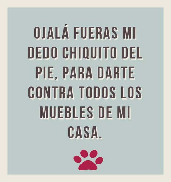 Leudis Torres (@leudistorres0x) on Twitter photo 
